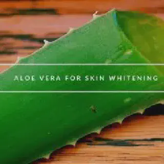 /img/30158-aloe-vera-cucumber-antiaging.webp
