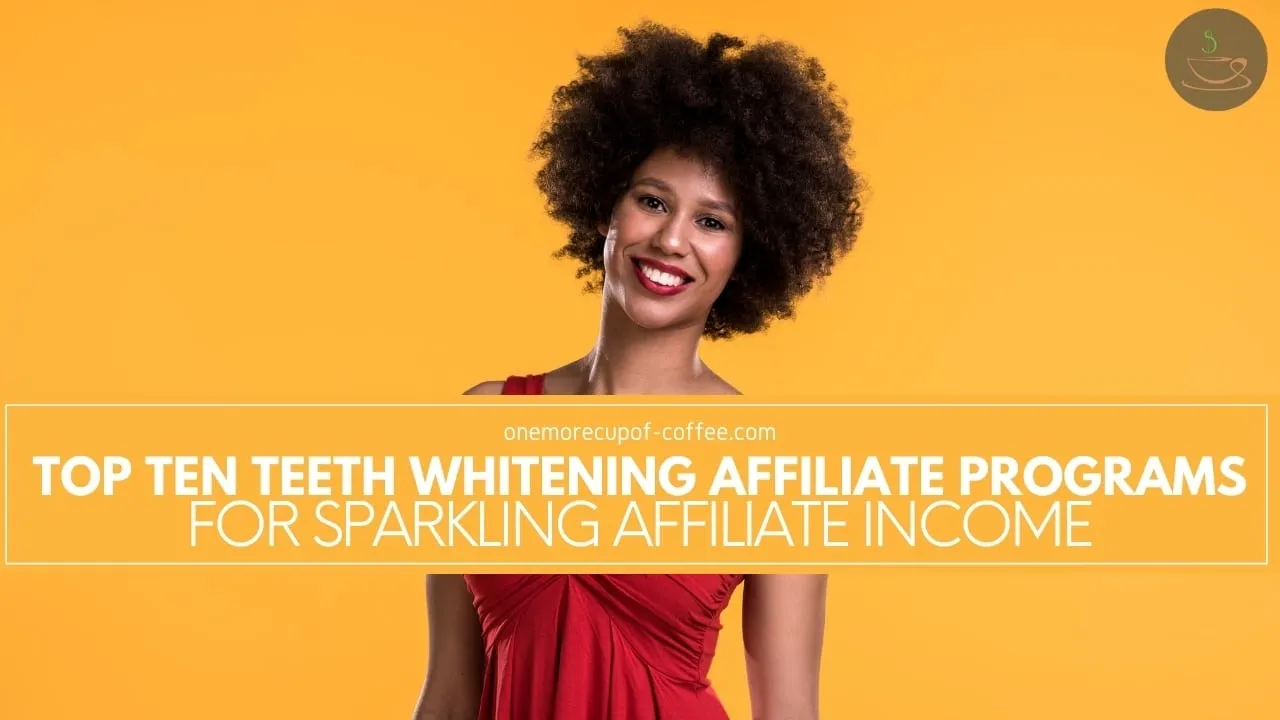 30260 affiliate program examples